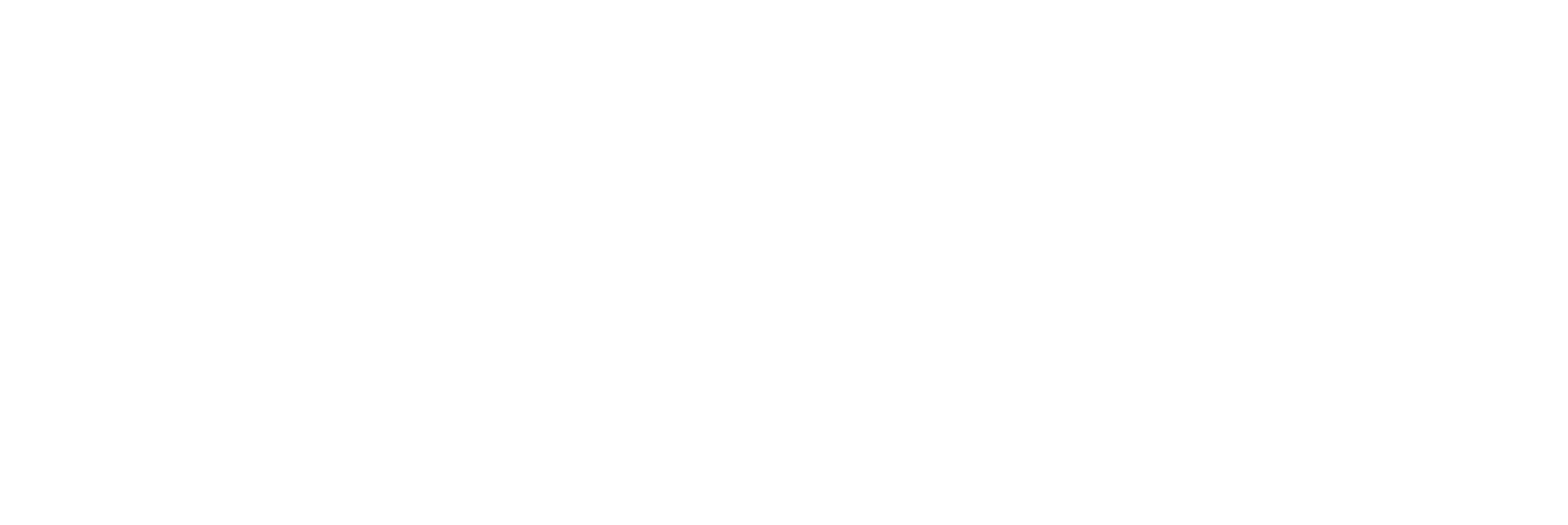 Hydra Project Logo - Soluzioni Digitali